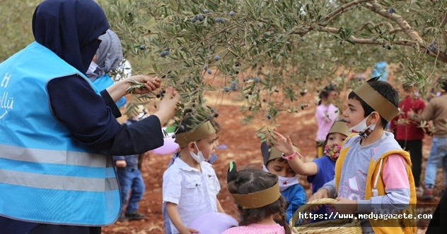 Hatay&#039;da, Suriyeli yetimler zeytin toplama şenliğine katıldı