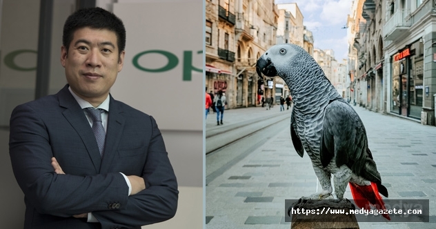 OPPO Sanatın Kapılarını Aralıyor