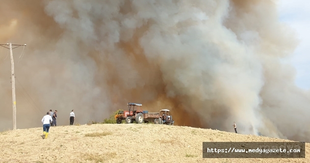 Osmaniye&#039;de çıkan orman yangınına müdahale ediliyor