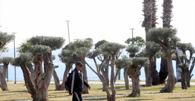 Antalya Mugla Isparta Ve Burdur Da 65 Yas Ve Ustu Vatandaslar Sokaga Cikti Medya Gazete