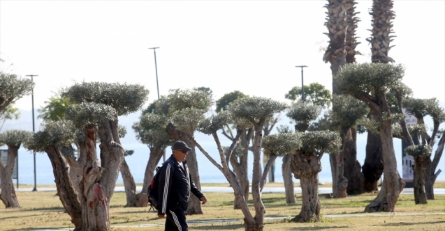 Antalya, Muğla, Isparta ve Burdur&#039;da 65 yaş ve üstü vatandaşlar sokağa çıktı