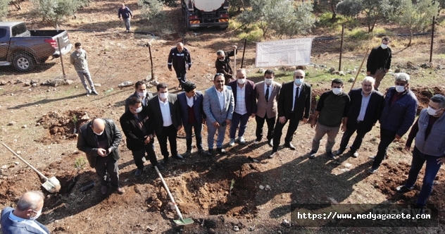 Başkan Yavaş'ın Hatay’a Gönderdıği 32 Bin Fidan Toprakla Buluştu