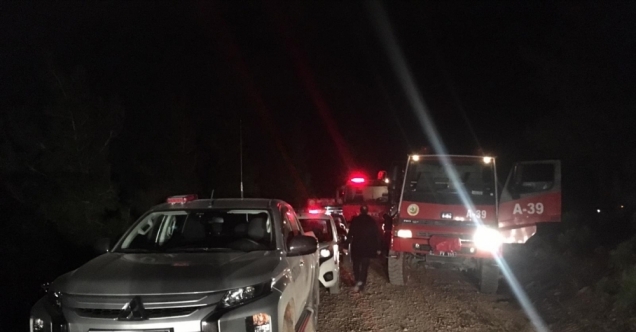 Hatay'da çıkan orman yangını kontrol altına alındı