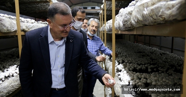 Hatay Büyükşehir Belediye Başkanı Savaş, mantar üreticileriyle bir araya geldi