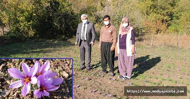 Kadın üreticilerin proje alanına ziyaret