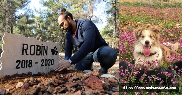 Ölen köpeğini üniversitenin desteğiyle kampüste yaptırdığı mezara gömdü