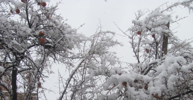 Araban’da 4 yıl aradan sonra yoğun kar yağışı sevinci