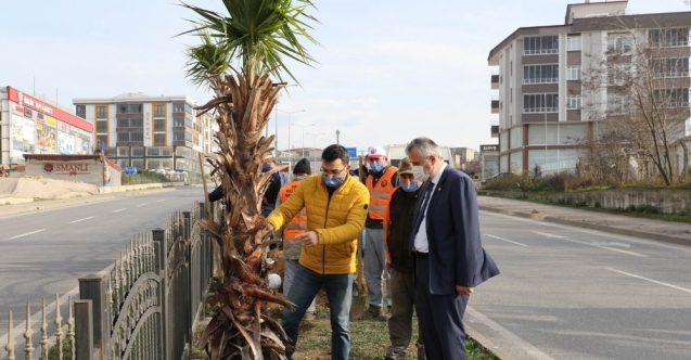 Baskan Kilic Insanlar Bafra Mizin Dis Gorunumu Ile Ilgili Guzel Intibalara Sahip Olsun Istiyoruz Medya Gazete