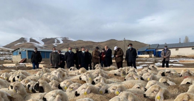 Bayburt’ta &quot;Köyümde Yaşamak İçin Bir Sürü Nedenim Var Projesi&quot; kapsamında çiftçilere koyunları teslim edildi