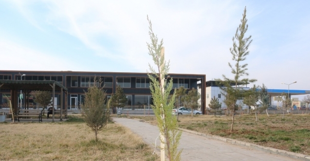 Bismil Devlet Hastanesi bahçesine 600 fidan dikildi