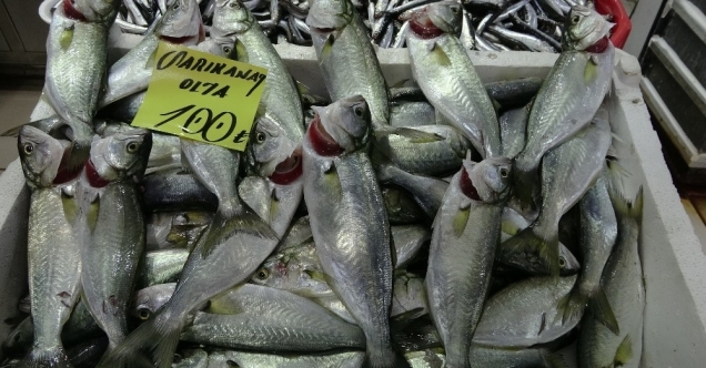 Çanakkale’de balık fiyatları el yakıyor
