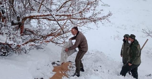 Elazığ’da karla kaplı bölgelerde yaban hayatına yem desteği