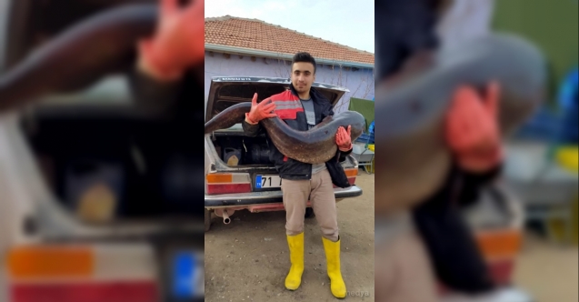 Hirfanlı barajında 25 kiloluk sazan balığı yakalandı