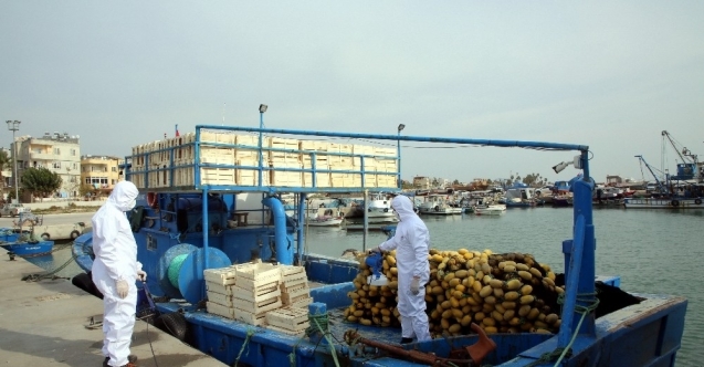 Karaduvar Balıkçı Barınağındaki balıkçı tekneleri dezenfekte edildi
