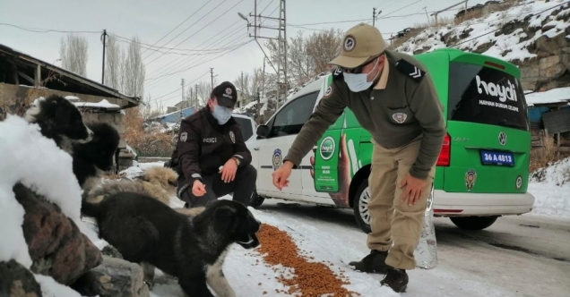 Kars’ta polis, sokak hayvanlarına yiyecek bıraktı