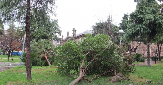 Manisa’daki fırtınanın hasarı gün ağarınca ortaya çıktı