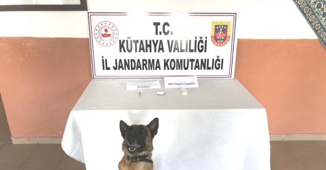 Narkotik köpeği Mola göz açtırmadı