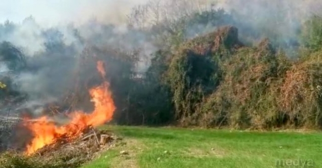 Osmaniye’de fundalık alanda başlayan yangın ormana sıçramadan söndürüldü