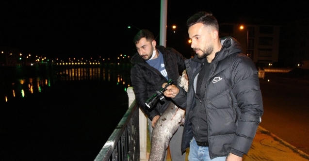 Https Www Medyagazete Com Bursa Kuraklik Bitkilerin Kimyasini Da Degistirdi H64587 Html Daily 2021 01 12t11 22 40 03 00 0 8 Https Www Medyagazete Com Images Haberler 2021 01 Ozel Kuraklik Bitkilerin Kimyasini Da Degistirdi Jpg Https Www