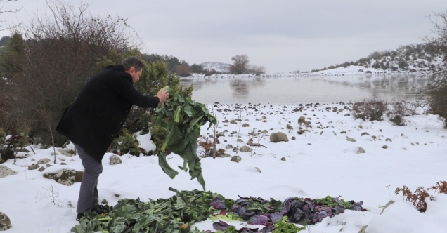 Saruhanlı Belediyesi yaban hayvanlarını unutmadı