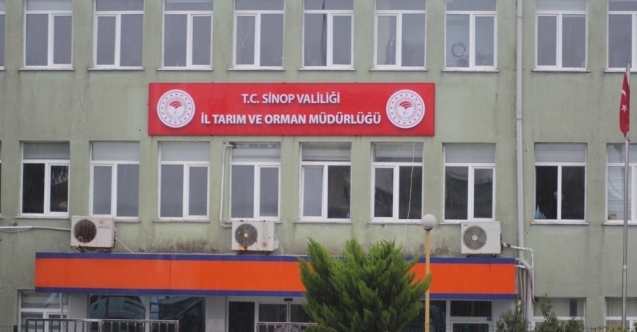 Sinop’da arıcılık desteklemesi başvuruları devam ediyor