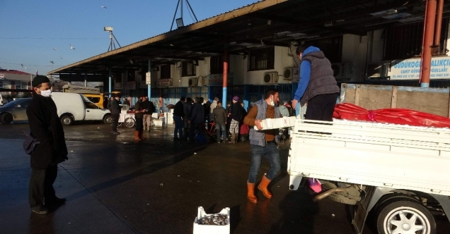 Trabzon Toptancı Balık Hali’ne gelen balık miktarındaki düşüş devam ediyor