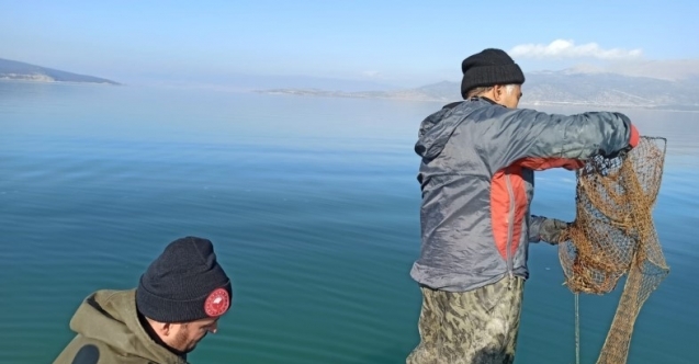 Türkiye’de kerevit üretiminin yüzde 80’i Eğirdir Gölü’nden karşılanıyor