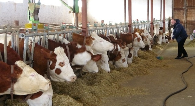Devlet desteğiyle kurulan süt çiftliği Avrupa standardında hizmet veriyor