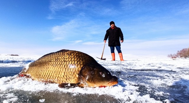 Donan Nazik Gölünde Eskimo usulü balık avı