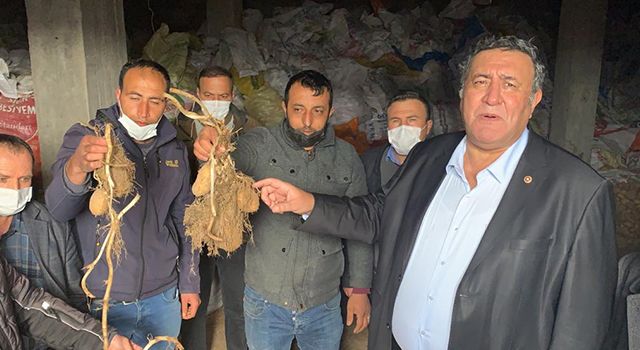 Gürer: “Binlerce ton patates çürümeden kurtarılsın”