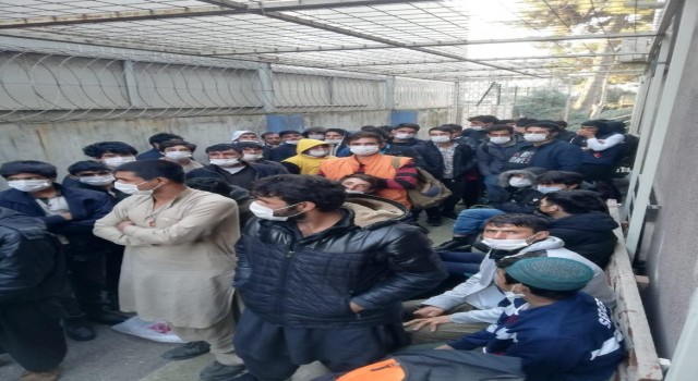90 kaçak göçmen polis operasyonunda yakalandı