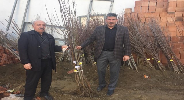 Akdağmadeninde meyve fidanı ve tohum satışına başlandı