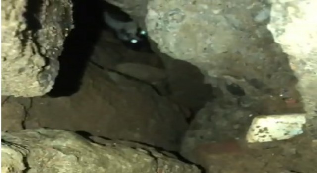 Bingölde moloz altında kalan kedi kurtarıldı