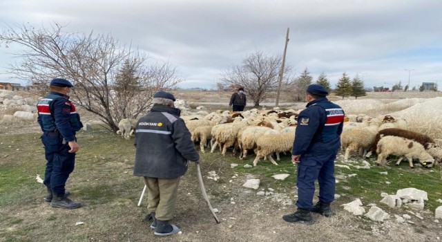Kayıp koyunları jandarma ekipleri drone ile buldu