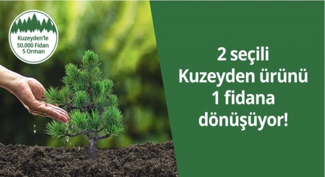 Kuzeyden 50 bin fidan ile 5 orman oluşturuyor