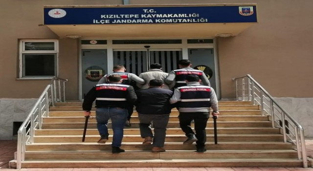 Mardinde firari zanlılar jandarma tarafından yakalandı