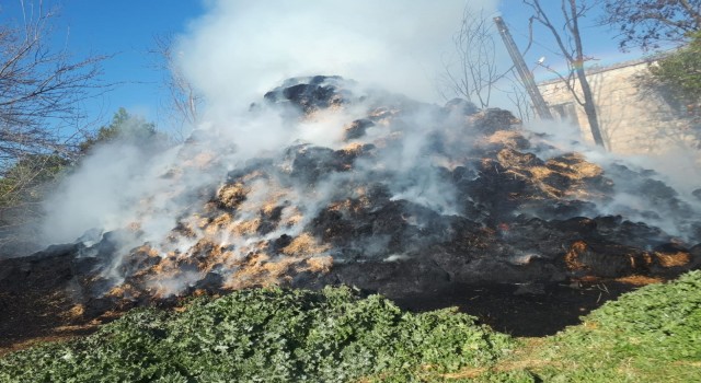 Tarsusta 30 ton saman kül oldu