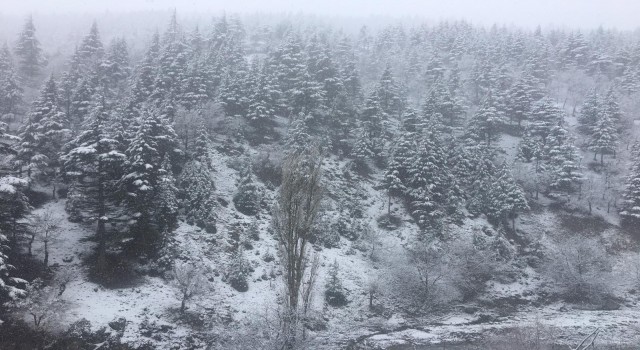 Adananın yüksek kesimlerinde kar yağışı etkili oldu