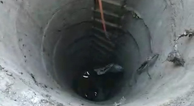 Metrelerce derinlikteki su kuyusuna düşen yavru kedi kurtarıldı