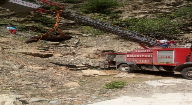 Batmanda uçuruma yuvarlanan inek halat yardımıyla kurtarıldı