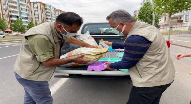 Diyarbakırda tam kapanma döneminde sokak hayvanları unutulmadı