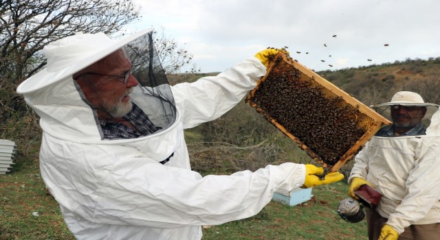 Karadeniz Bölgesinin gezginci arıcıları Bozok yaylasında