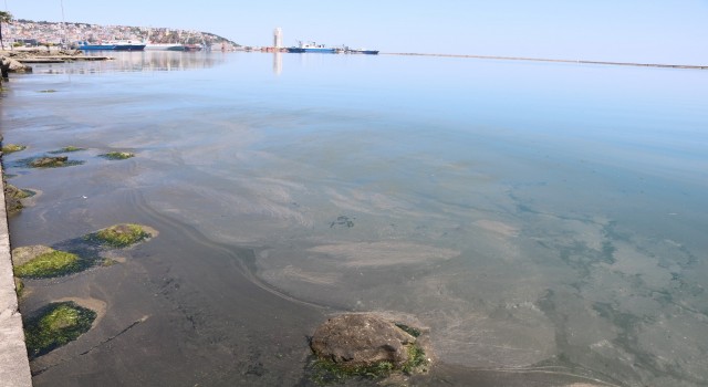 Samsun Limanındaki kirlilik büyüyor