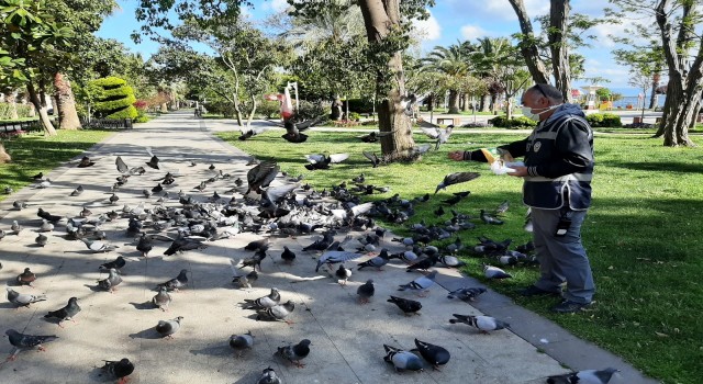 Sinopta aç kalan güvercinleri polisler besledi