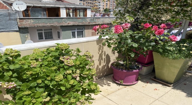 Balkonunu çiçek bahçesine çeviren kanser hastası, yarışmada 1inci oldu