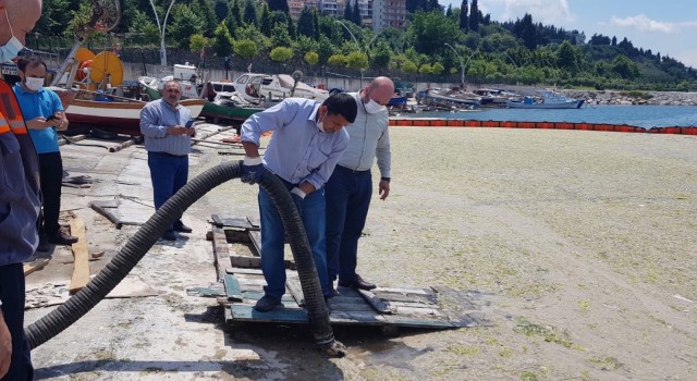 Düzce Belediyesi Marmara Denizinde musilaj temizliği yaptı