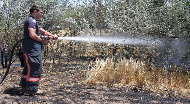 Elazığda yangın: 12 dönüm ekili alan kül oldu