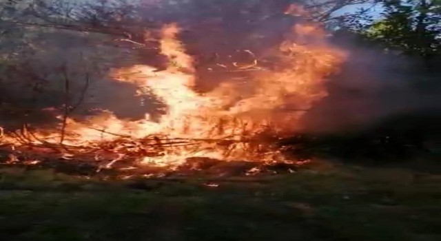 Elazığda yangın: 4 bahçe zarar gördü