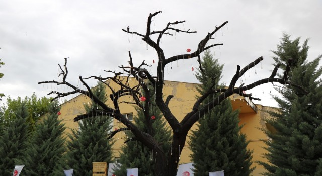 Kırşehirde Şehitler Ağacı açıldı