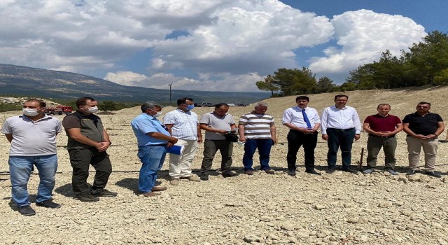 Mersinde “Zeytin Gen Bahçesi” oluşturuldu